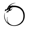Dragon group logo
